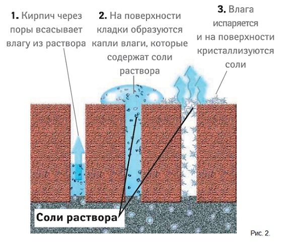 Odoo текст и блок изображение